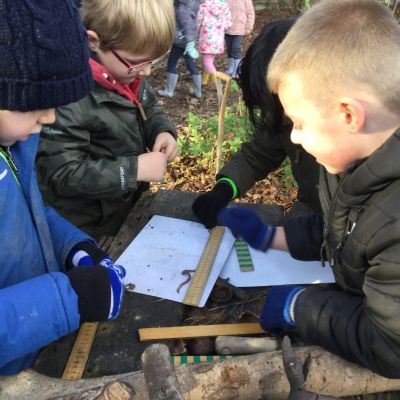Year 1 - Forest School measuring (4)